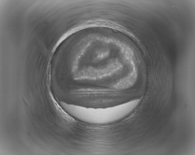 X0000078891522200612111752