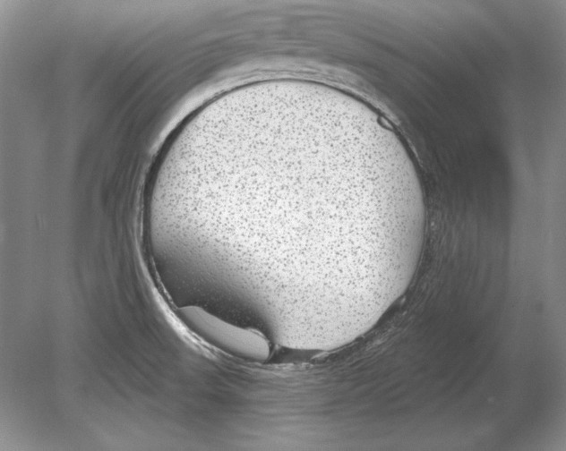 X0000078891523200612111752