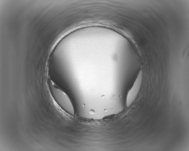 X0000078891524200612111752