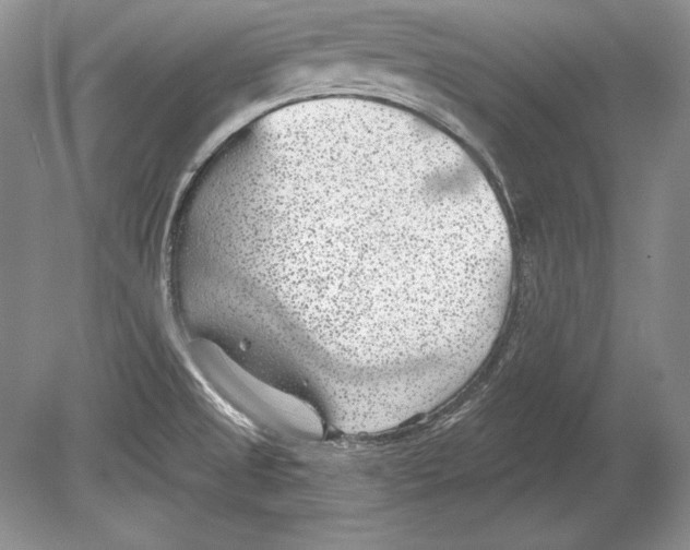 X0000078891525200612111752