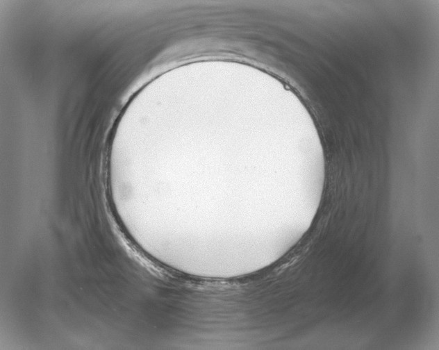 X0000078891526200612111752