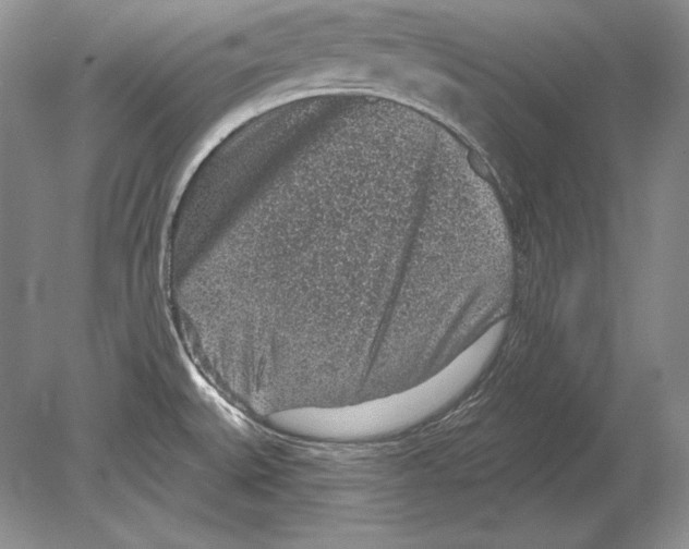 X0000078891527200612111752