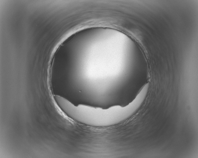 X0000078891528200612111752