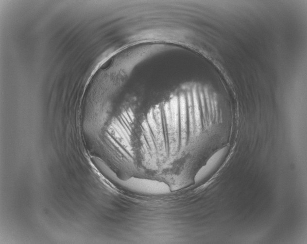 X0000078891529200612111752