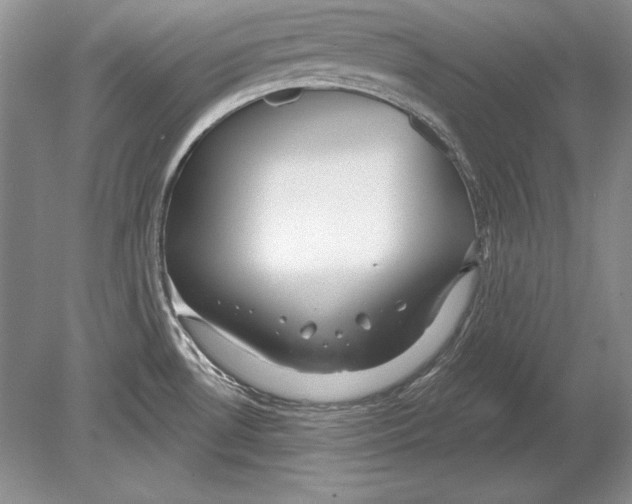 X0000078891530200612111752