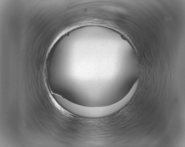 X0000078891531200612111752