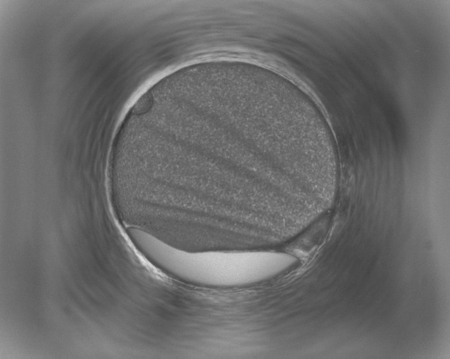 X0000078891533200612111752