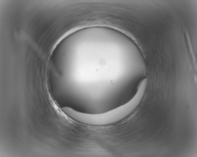 X0000078891534200612111752