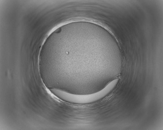 X0000078891535200612111752