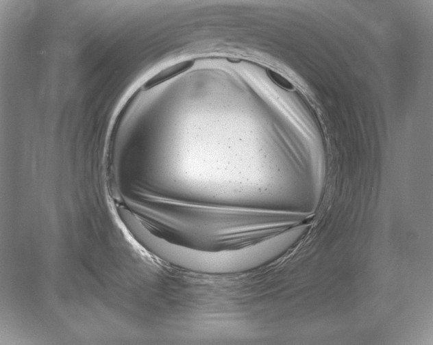 X0000078891536200612111752