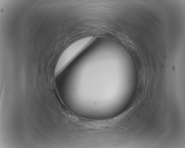 X0000079280033200611170838