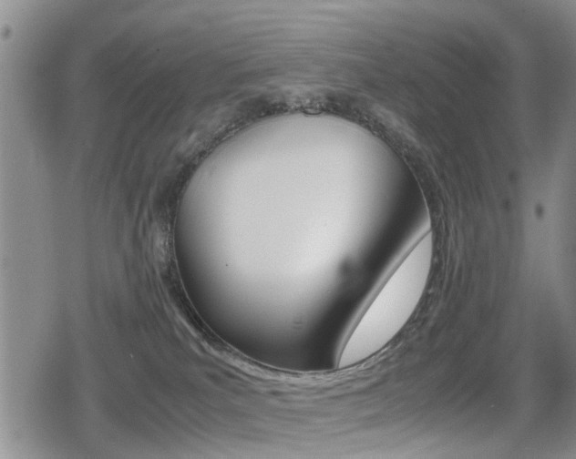 X0000079280039200611170838