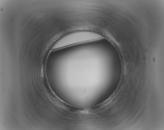X0000079280068200611170837