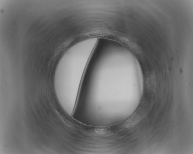 X0000079280070200611170837