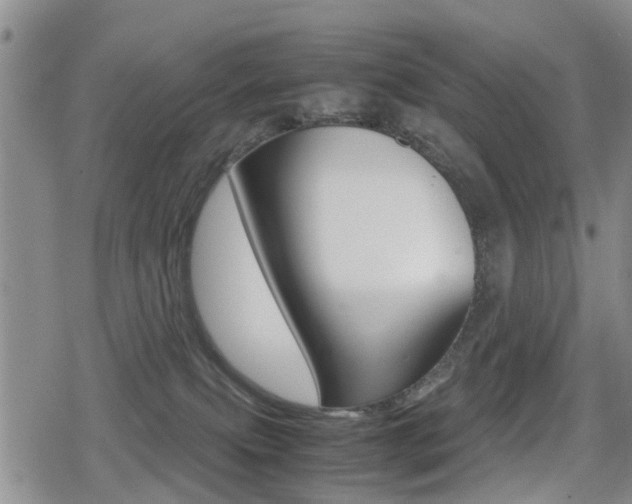 X0000079280087200611170837