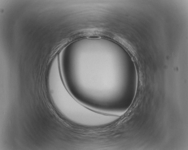 X0000079280105200611170837