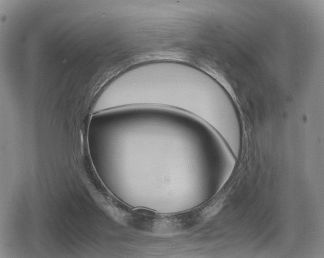 X0000079280109200611170837
