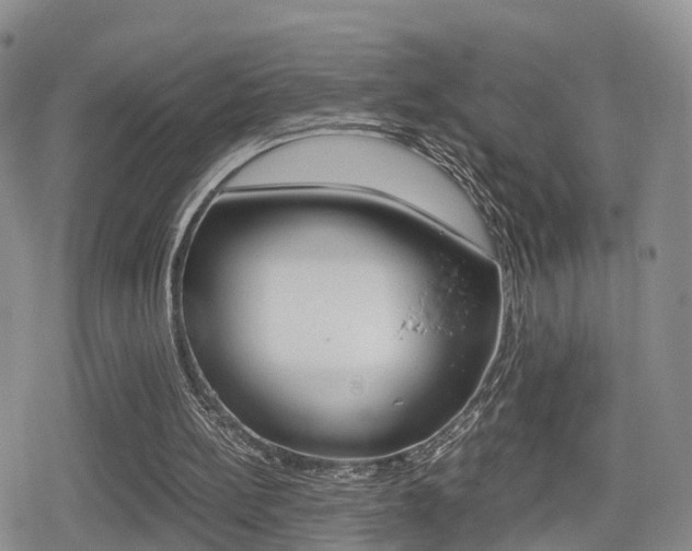 X0000079280148200611170835