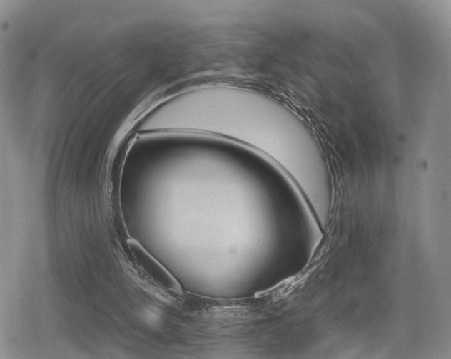 X0000079280150200611170835