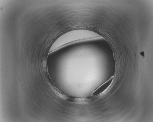 X0000079280192200611170836