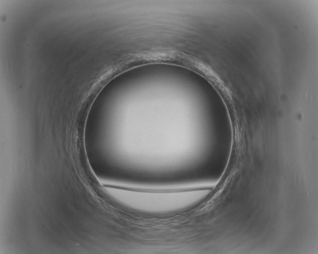 X0000079280201200611170835