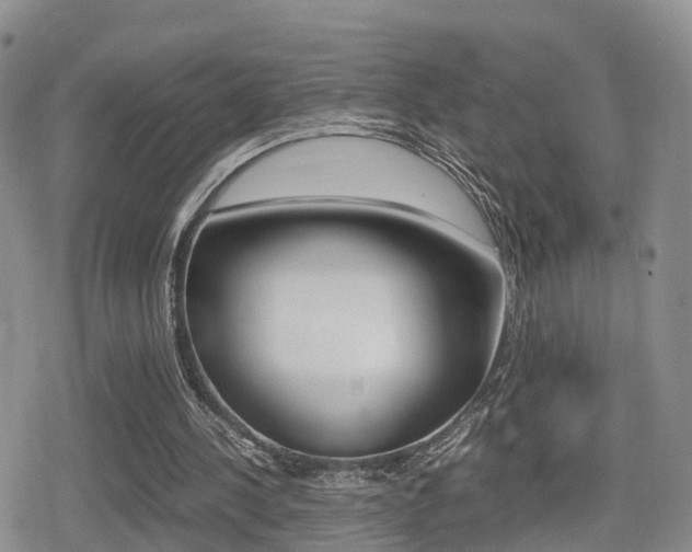 X0000079280244200611170834