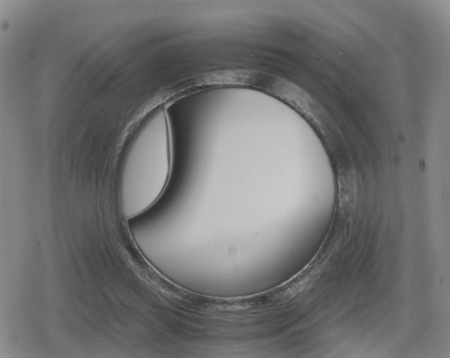 X0000079280349200611170832
