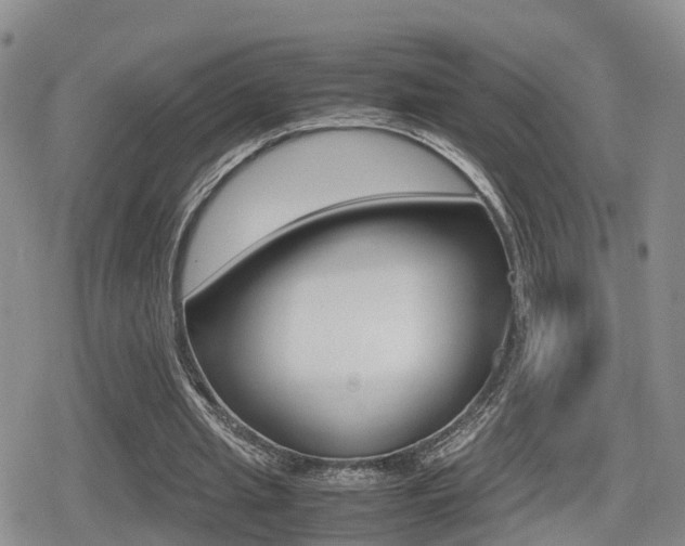 X0000079280437200611170831