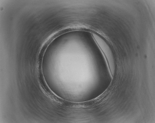 X0000079280440200611170831