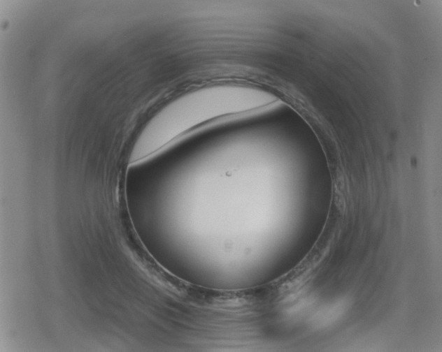 X0000079280454200611170831