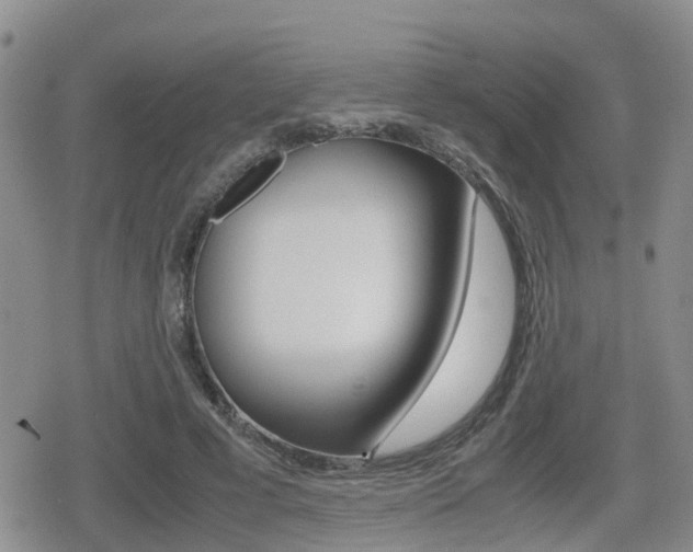 X0000079280593200611170829