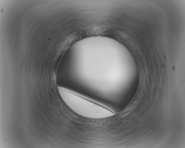 X0000079280624200611170828