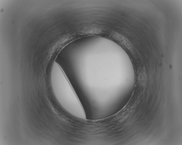 X0000079280635200611170828