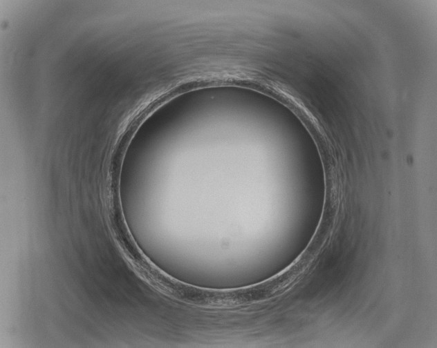 X0000079280677200611170827