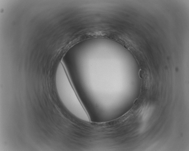 X0000079280747200611170826