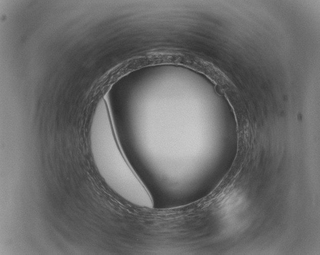 X0000079280821200611170824