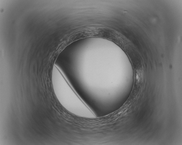 X0000079280867200611170824