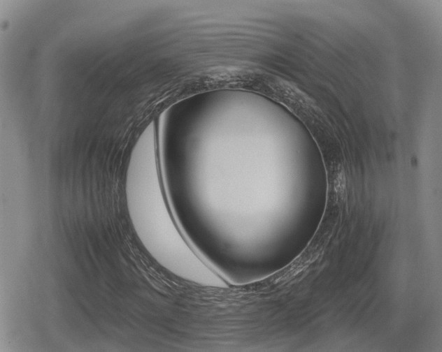 X0000079280868200611170824