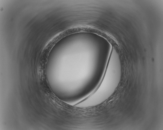X0000079280872200611170824