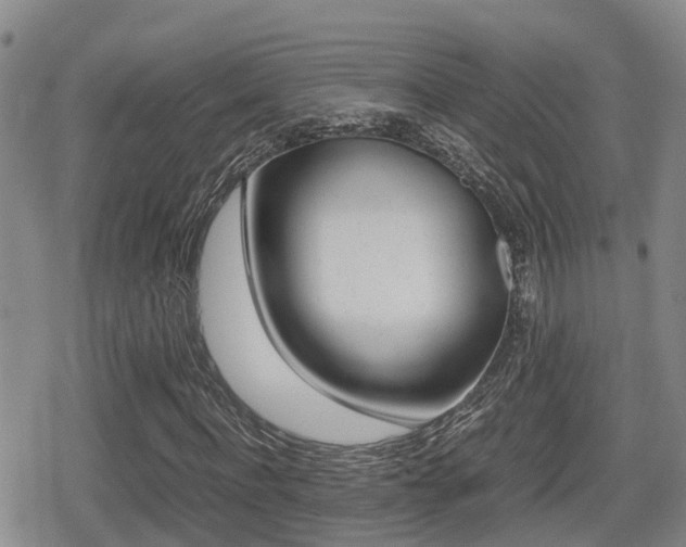 X0000079280916200611170823