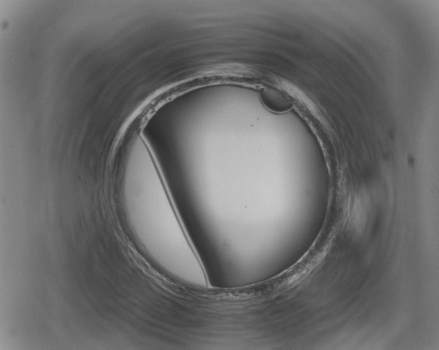 X0000079280923200611170823