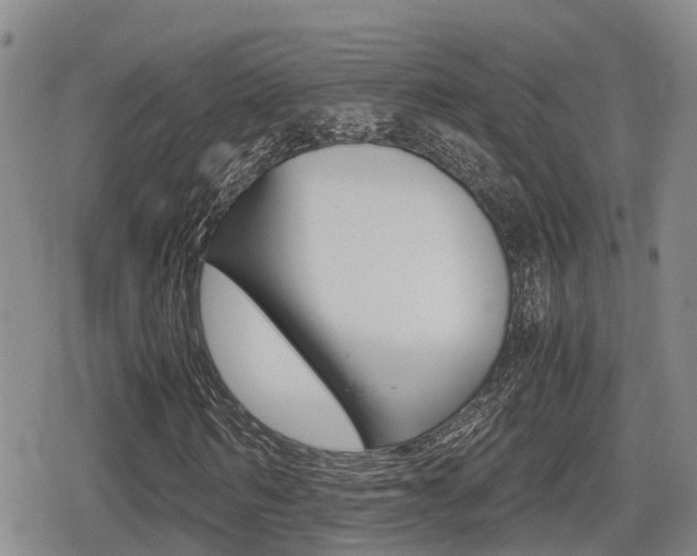 X0000079280962200611170823
