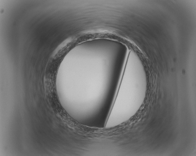 X0000079280967200611170823