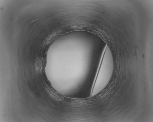 X0000079281012200611170821