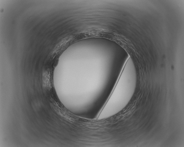 X0000079281060200611170821