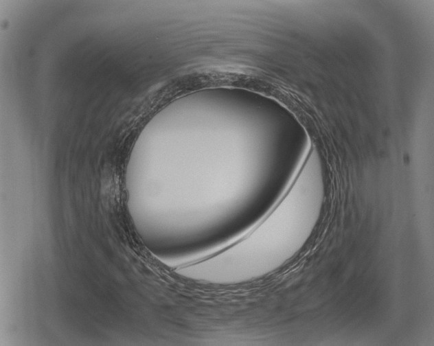 X0000079281061200611170821