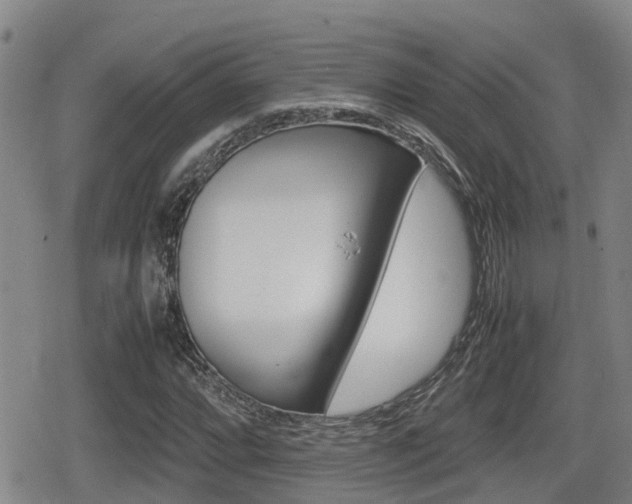 X0000079281064200611170821