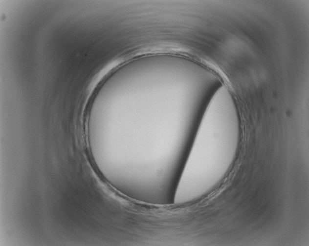 X0000079281087200611170821