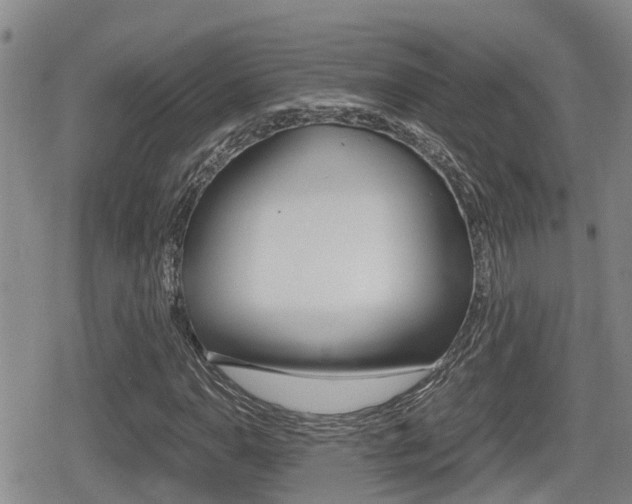 X0000079281110200611170820