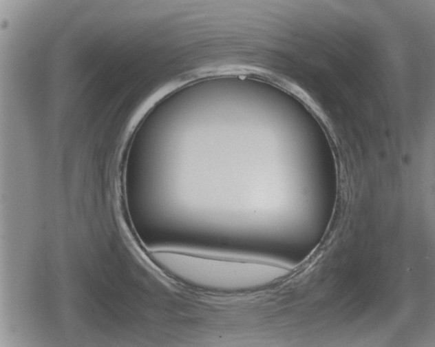X0000079281187200611170819